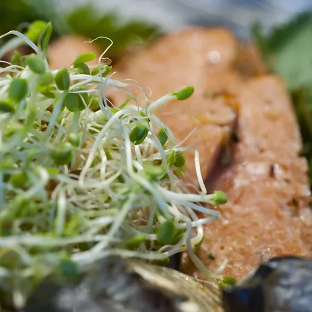 Hotel Fjordhotel Ulvik